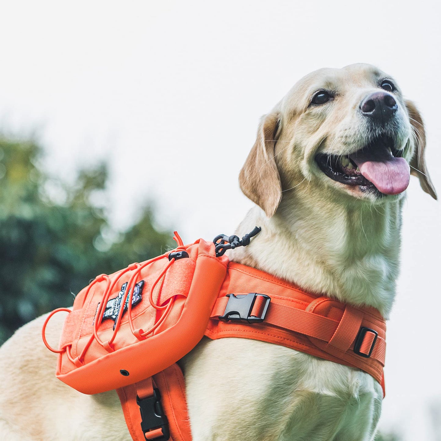 OneTigris Dog Harness with Sidepockets for Hiking Walking Training Running. Medium and Large Dogs, Multiple Colors