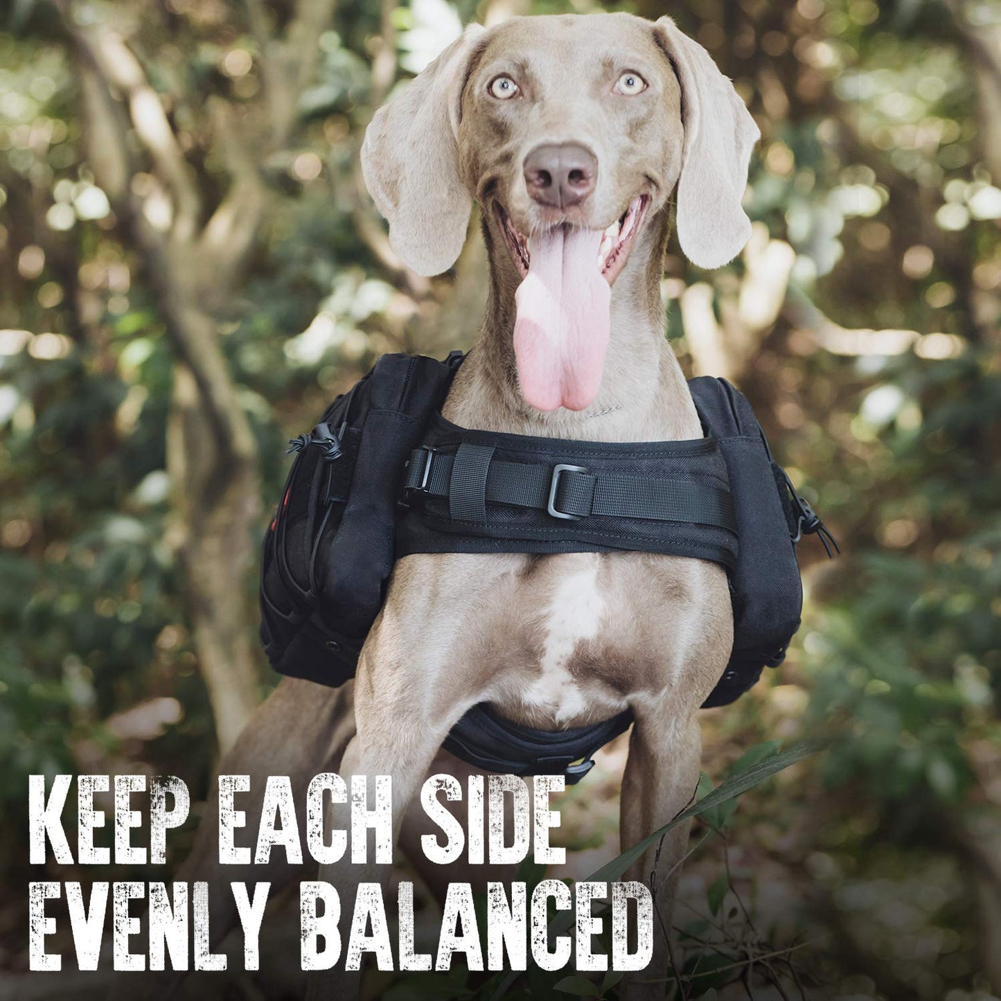 OneTigris Dog Harness with Sidepockets for Hiking Walking Training Running. Medium and Large Dogs, Multiple Colors