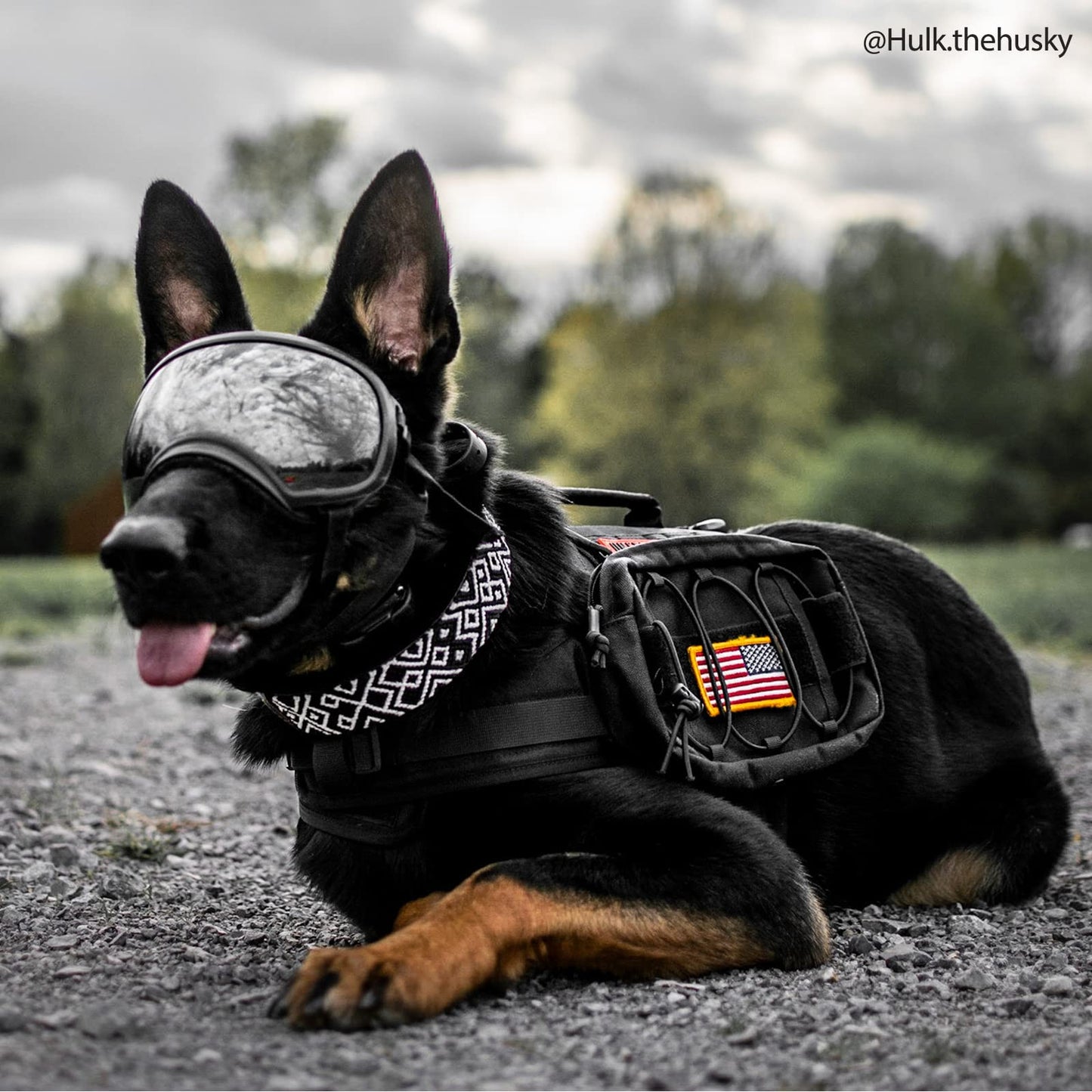 OneTigris Dog Harness with Sidepockets for Hiking Walking Training Running. Medium and Large Dogs, Multiple Colors