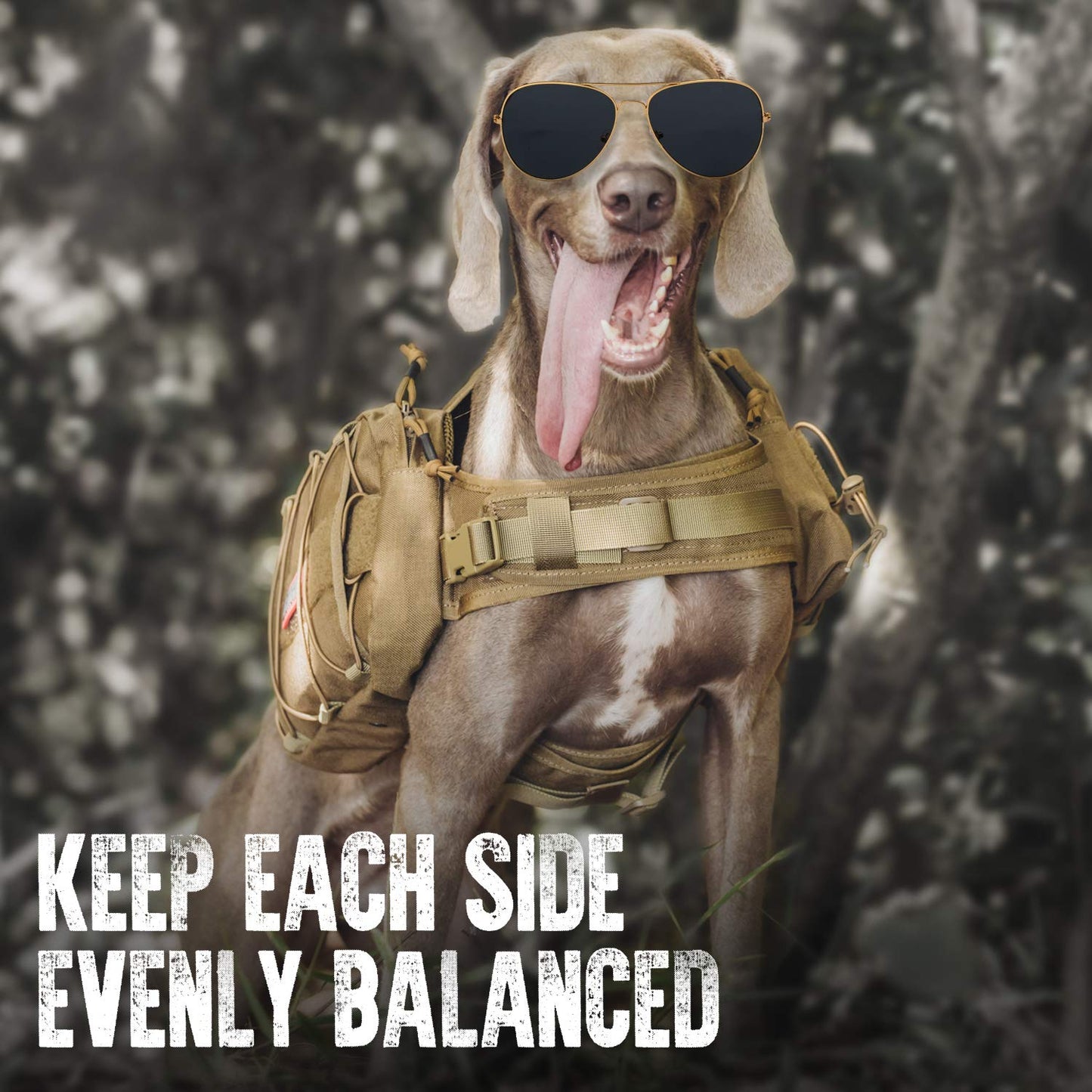 OneTigris Dog Harness with Sidepockets for Hiking Walking Training Running. Medium and Large Dogs, Multiple Colors