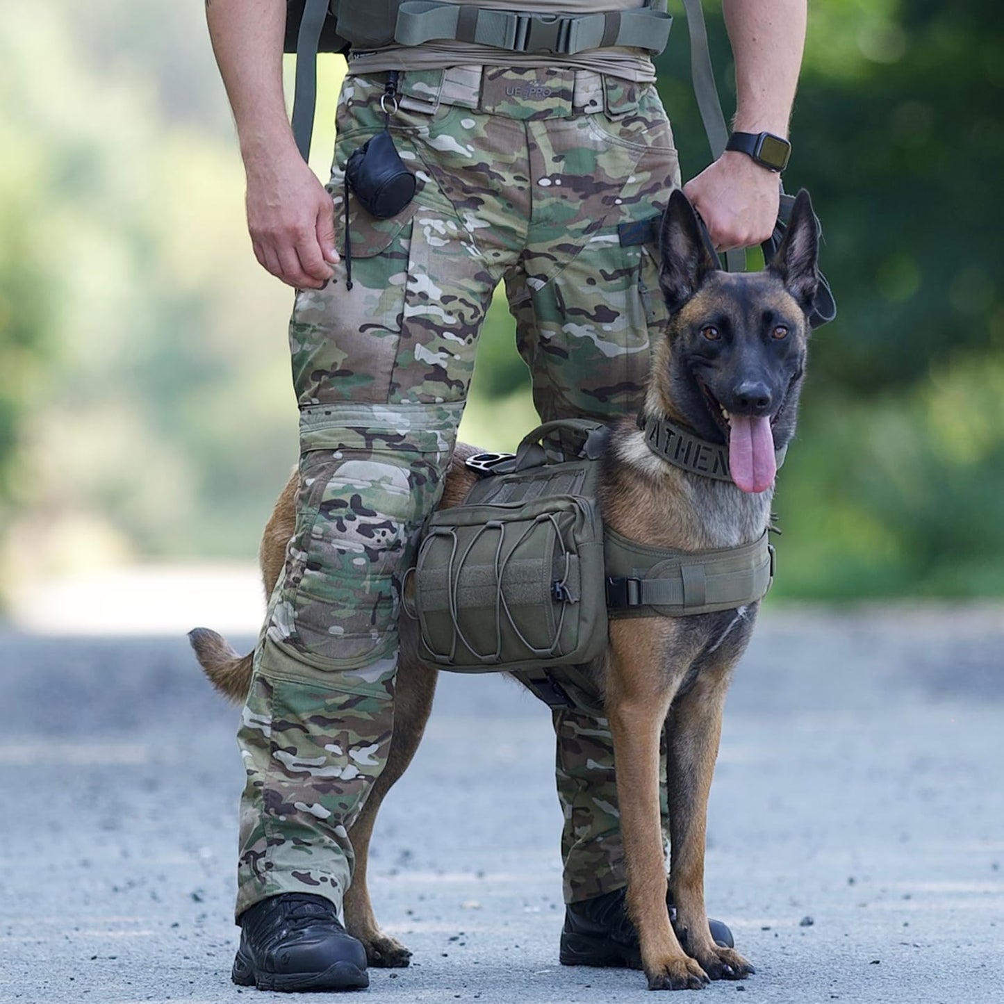 OneTigris Dog Harness with Sidepockets for Hiking Walking Training Running. Medium and Large Dogs, Multiple Colors