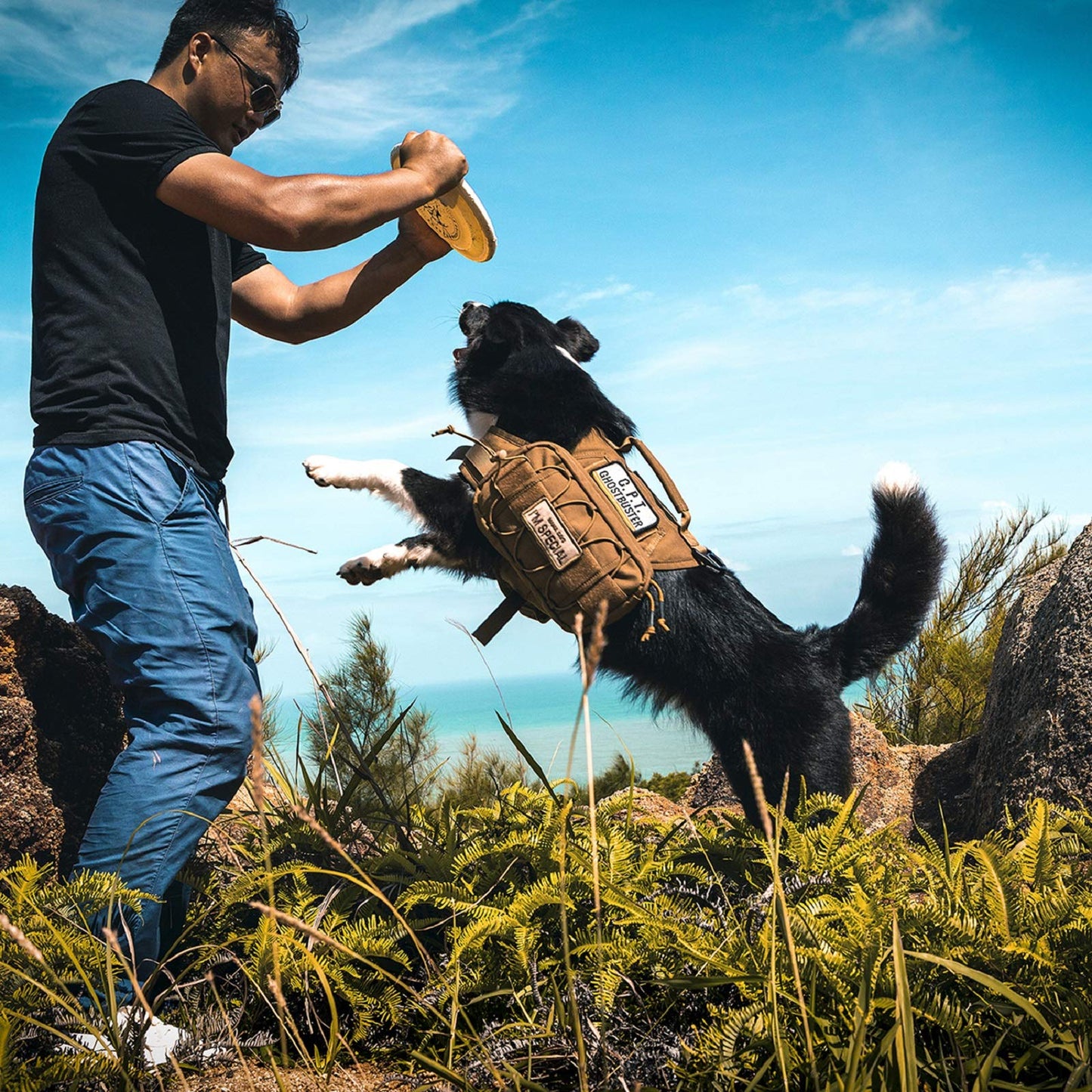 OneTigris Dog Harness with Sidepockets for Hiking Walking Training Running. Medium and Large Dogs, Multiple Colors