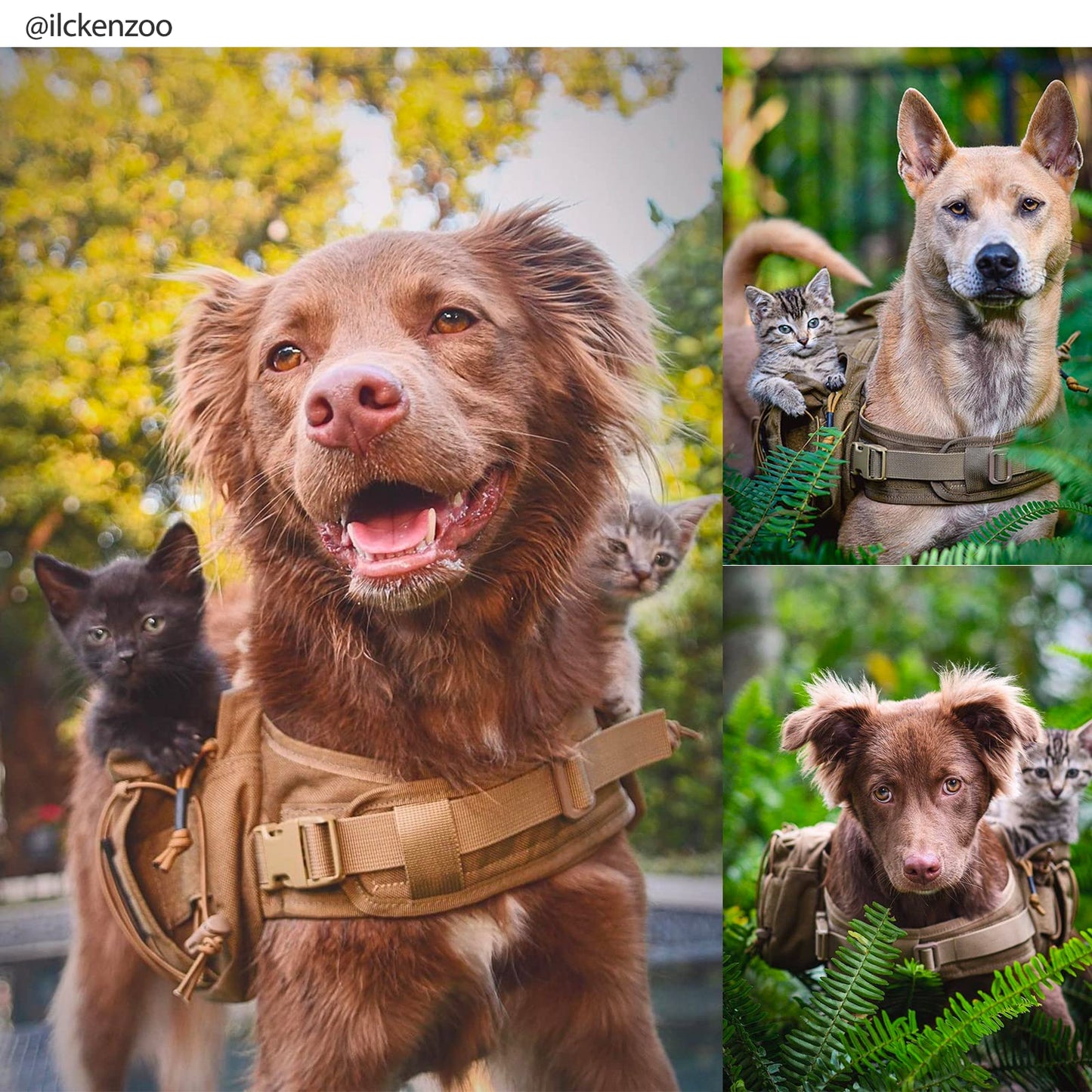 OneTigris Dog Harness with Sidepockets for Hiking Walking Training Running. Medium and Large Dogs, Multiple Colors