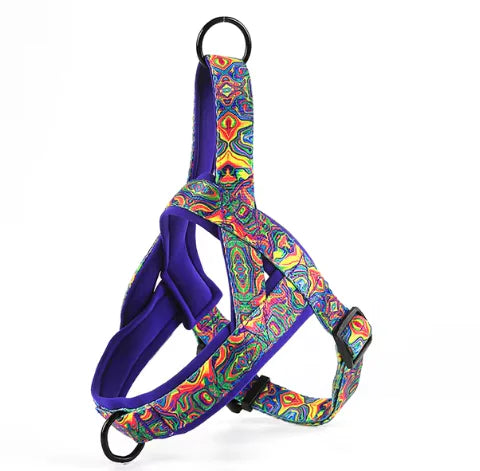 Dog Harness without the Leash