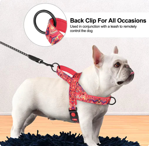 Dog Harness without the Leash
