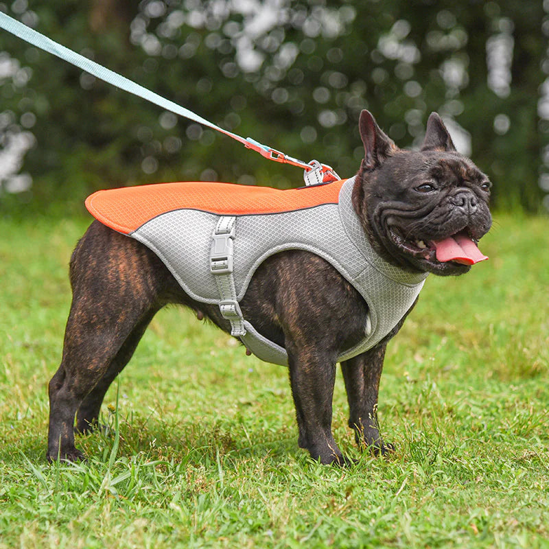 Cooling Vest/Harness for Dogs