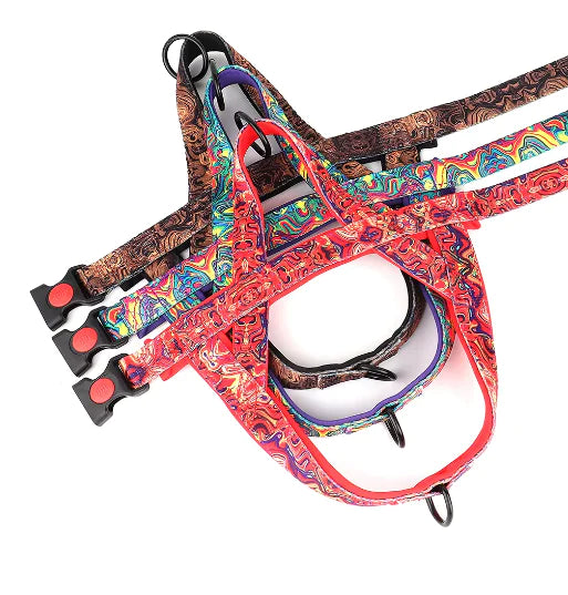 Dog Harness without the Leash