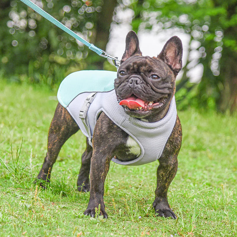 Cooling Vest/Harness for Dogs