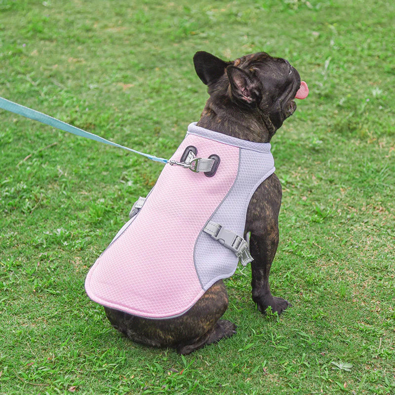 Cooling Vest/Harness for Dogs
